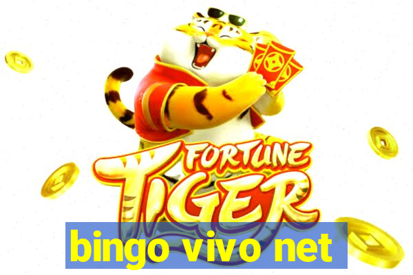 bingo vivo net