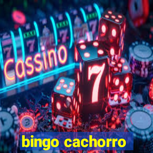 bingo cachorro