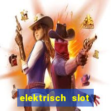 elektrisch slot houten poort