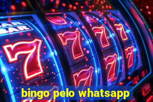 bingo pelo whatsapp