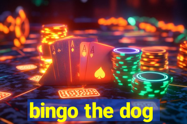 bingo the dog