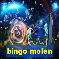 bingo molen