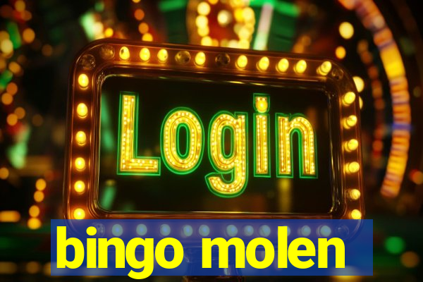 bingo molen